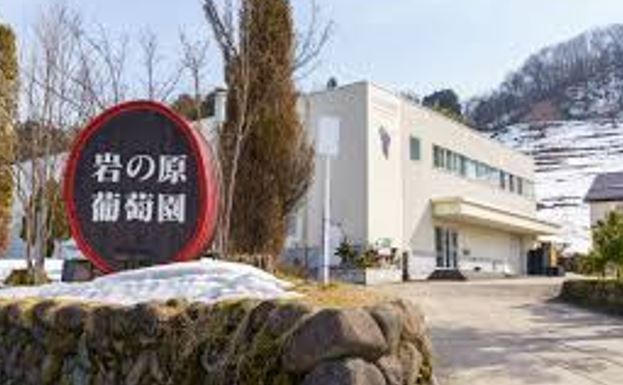 日本ワイン　会社設立 名古屋　スタッフブログ