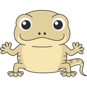 会社設立名古屋　スタッフブログ　【今年も元気なヤモリ一家　 by矢島】