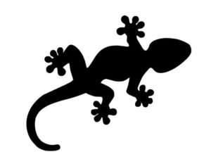 会社設立名古屋　スタッフブログ　【今年も元気なヤモリ一家　 by矢島】