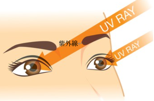 会社設立名古屋 スタッフブログ 【目の定期健診 by岩田】