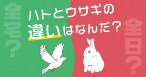 ウサギとハト,不動産業界,シンボル,宅建業,許可申請